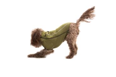 Ruffwear Climate Changer Fleece Jacket Cedar Green Gr. L